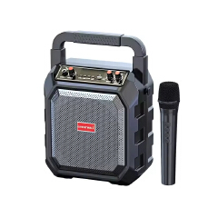 Portable Bluetooth Karaoke Speaker with Microphone Wireless Rechargeable Karaoke Machine for Outdoor Party Holiday Gathering