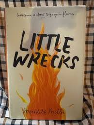 Little Wrecks by Meredith Miller – Contemporary Literary Fiction Novel Exploring Trauma, Friendship, Coming-of-Age Struggles, Emotional Healing, Family Dysfunction, and Psychological Growth Bestseller