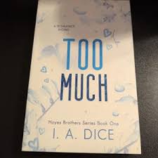 Too Much (Hayes Brothers Book 1) by I. A. Dice – Contemporary Romance Novel, Friends-to-Lovers Small Town Romance, Emotional Slow-Burn Love Story, Spicy New Adult Fiction Bestseller