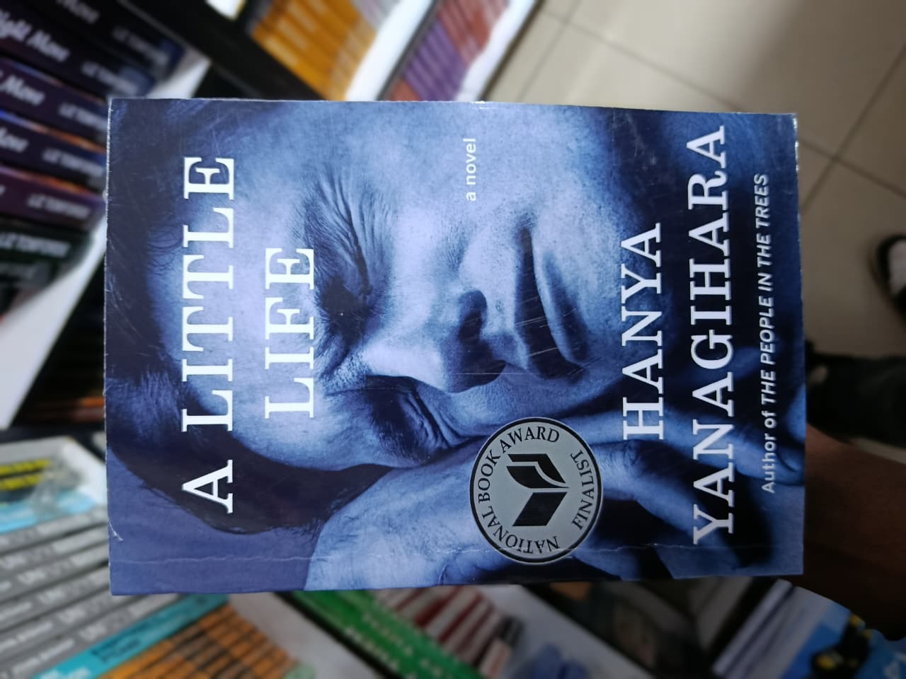 A Little Life by Hanya Yanagihara – Literary Fiction, Emotional Drama, Friendship, Trauma, Healing, Psychology, Character Study, and Contemporary Bestseller Novel