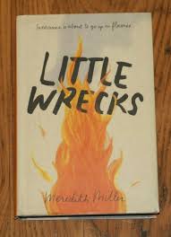 Little Wrecks by Meredith Miller – Contemporary Literary Fiction Novel Exploring Trauma, Friendship, Coming-of-Age Struggles, Emotional Healing, Family Dysfunction, and Psychological Growth Bestseller