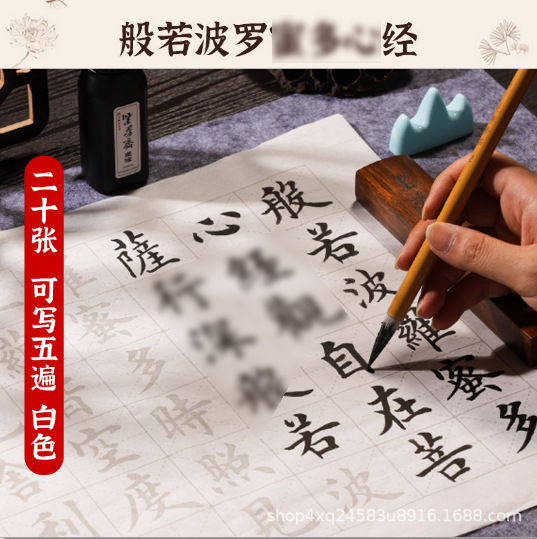 Chinese Calligraphy Practice Set Brush Copybook and Ink Writing Hanzi Sumi Tutorial Book for Beginners Students Learning Chinese Character Handwriting Chinese Calligraphy Copybook and Ink Set Brush Wr