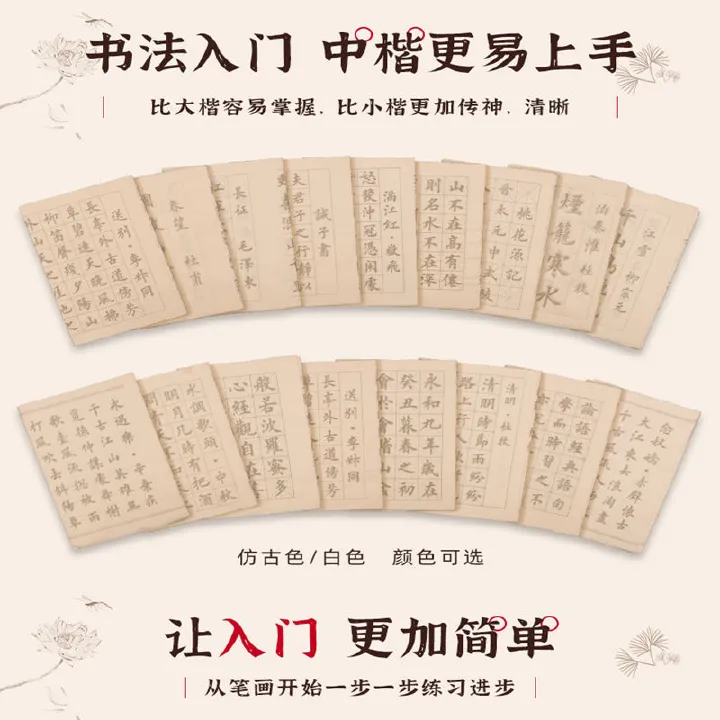 Chinese Calligraphy Practice Set Brush Copybook and Ink Writing Hanzi Sumi Tutorial Book for Beginners Students Learning Chinese Character Handwriting Chinese Calligraphy Copybook and Ink Set Brush Wr