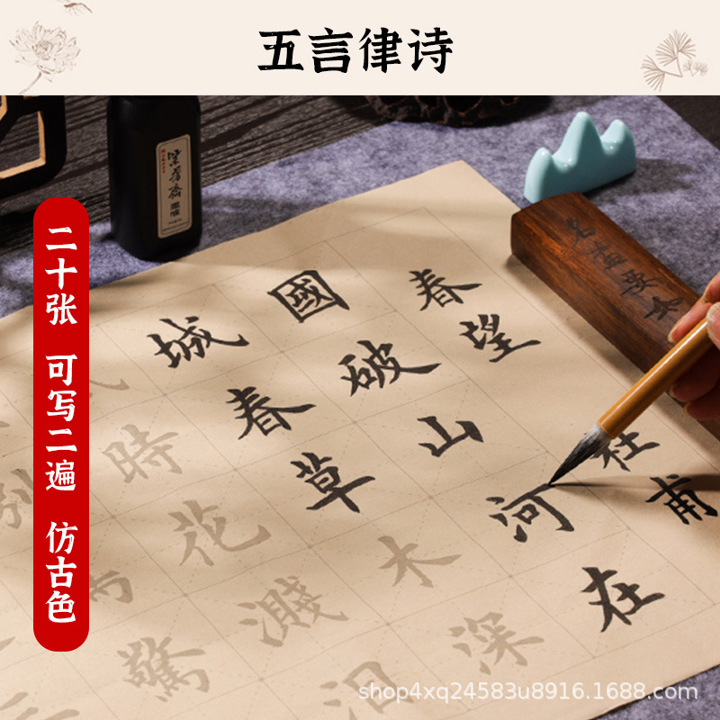 Chinese Calligraphy Practice Set Brush Copybook and Ink Writing Hanzi Sumi Tutorial Book for Beginners Students Learning Chinese Character Handwriting Chinese Calligraphy Copybook and Ink Set Brush Wr