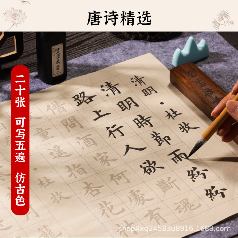 Chinese Calligraphy Practice Set Brush Copybook and Ink Writing Hanzi Sumi Tutorial Book for Beginners Students Learning Chinese Character Handwriting Chinese Calligraphy Copybook and Ink Set Brush Wr