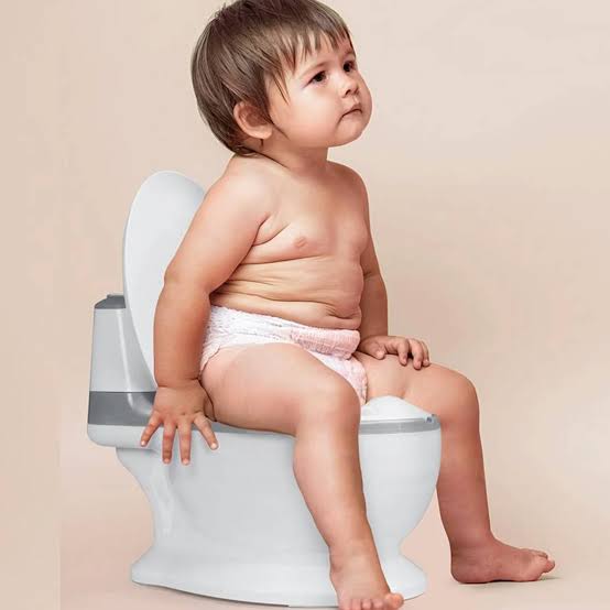 Potty Training Toilet, Toddler Potty Chair with Soft Seat, Non-Slip Realistic Potty Training Seat, Removable Potty Pot, With Splash Guard, Toddler,Baby,kids