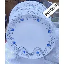 10 Inch Dinner Plate Elegant Ceramic Serving Plate Durable Round Dining Plate for Home Kitchen Restaurant Use Ideal for Main Meals Pasta Rice Steak Salad & Everyday Dining Stylish Tableware Plate Set
