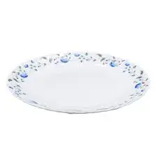 10 Inch Dinner Plate Elegant Ceramic Serving Plate Durable Round Dining Plate for Home Kitchen Restaurant Use Ideal for Main Meals Pasta Rice Steak Salad & Everyday Dining Stylish Tableware Plate Set