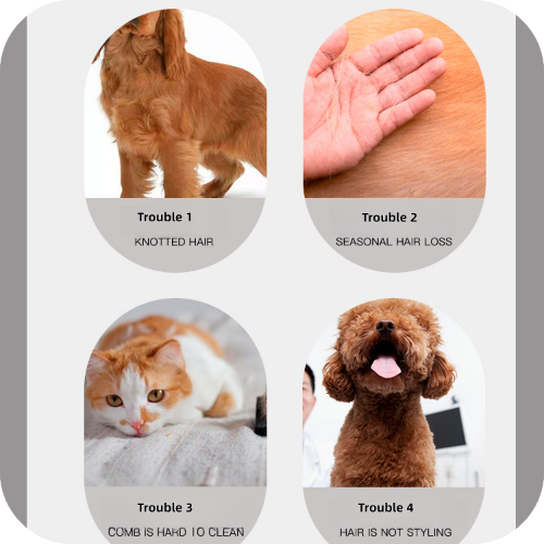 Stainless Steel Pet (Paka & Mbwa) Comb Double Dense & Wide Spaced Teeth, Electroplated, Rounded Smooth Teeth, Untangle Knots Remove Loose Fur, Flea & Lice Remover for Dogs and Cats Grooming