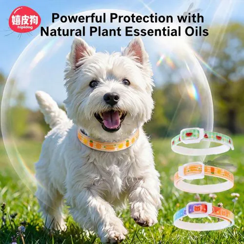 Hipidog Adjustable Eco-TPU Dog Flea,Tick & Kutu Collar for Small & Medium Puppies, Prevention of Lice Pests On Dogs, Natural Essential Oil Mosquito Repellent Pet Neck Collar for Outdoor or Daily Use