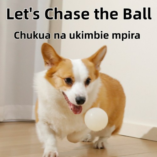 Luminous TPR Dog Elastic Ball Bite Resistant Molar, Boredom Relief Chew Pet Training Toy for Small Medium Dogs (Kutafuna Meno, Kutoa Uchovu, Hauvunjwi Kwa Meno, Kwa Mafunzo ya Wanyama)