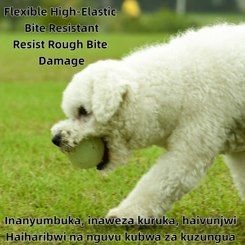 Luminous TPR Dog Elastic Ball Bite Resistant Molar, Boredom Relief Chew Pet Training Toy for Small Medium Dogs (Kutafuna Meno, Kutoa Uchovu, Hauvunjwi Kwa Meno, Kwa Mafunzo ya Wanyama)