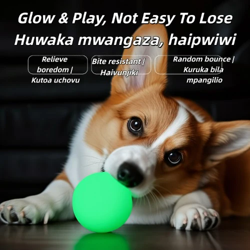 Luminous TPR Dog Elastic Ball Bite Resistant Molar, Boredom Relief Chew Pet Training Toy for Small Medium Dogs (Kutafuna Meno, Kutoa Uchovu, Hauvunjwi Kwa Meno, Kwa Mafunzo ya Wanyama)