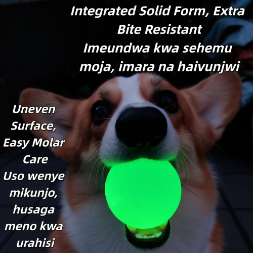 Luminous TPR Dog Elastic Ball Bite Resistant Molar, Boredom Relief Chew Pet Training Toy for Small Medium Dogs (Kutafuna Meno, Kutoa Uchovu, Hauvunjwi Kwa Meno, Kwa Mafunzo ya Wanyama)