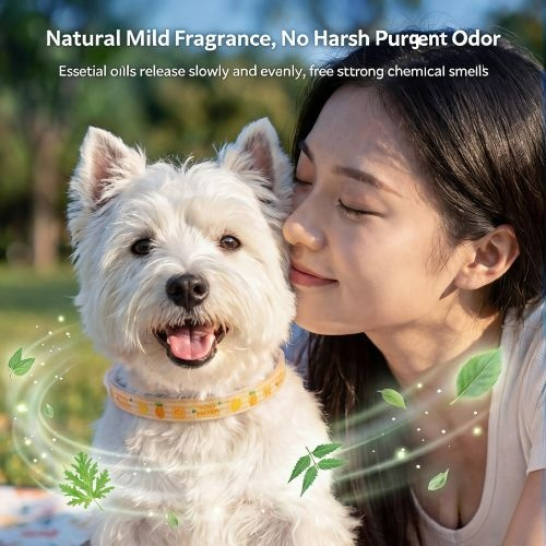 2-in-1 Natural Dog Flea, Lice  & Tick Collar + Flea Comb Combo Set - Safe & Non-Toxic Dog and Puppy Protection