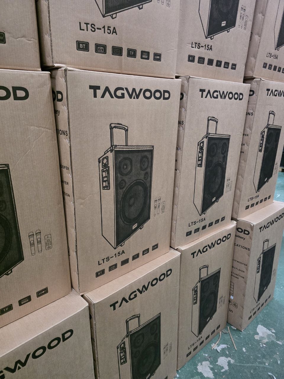 TAGWOOD LTS-15A Rechargeable 15-Inch Trolley Speaker with Dual Wireless Microphones, Bluetooth, USB/TF, AUX & Remote Control – 70W Output