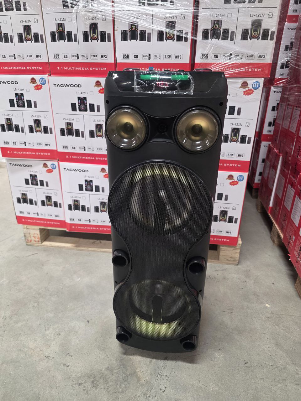 TAGWOOD LTS-8B Rechargeable Trolley Speaker with Dual 8-Inch Woofers, Bluetooth, USB/TF, Wireless Microphone & LED Lights