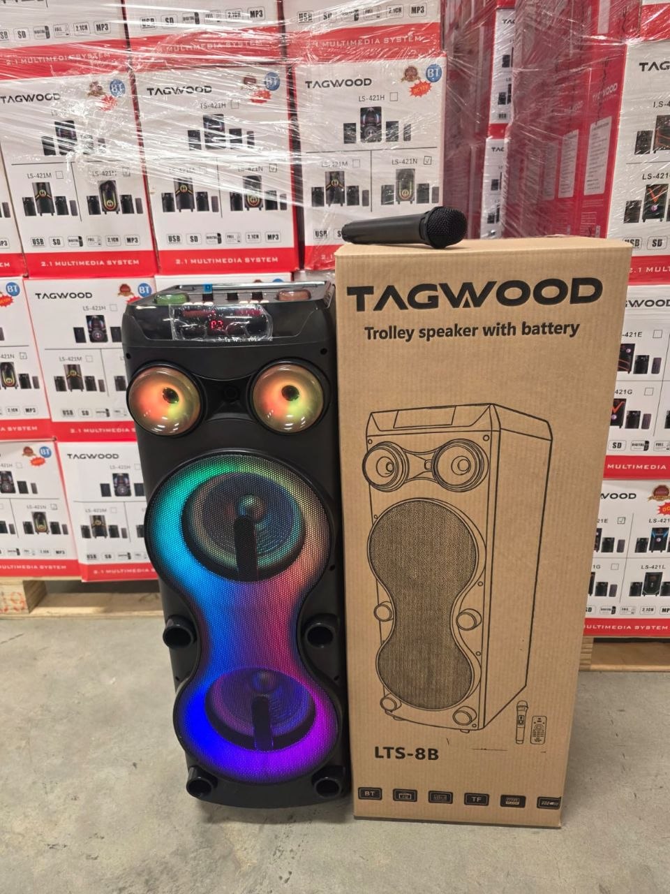 TAGWOOD LTS-8B Rechargeable Trolley Speaker with Dual 8-Inch Woofers, Bluetooth, USB/TF, Wireless Microphone & LED Lights