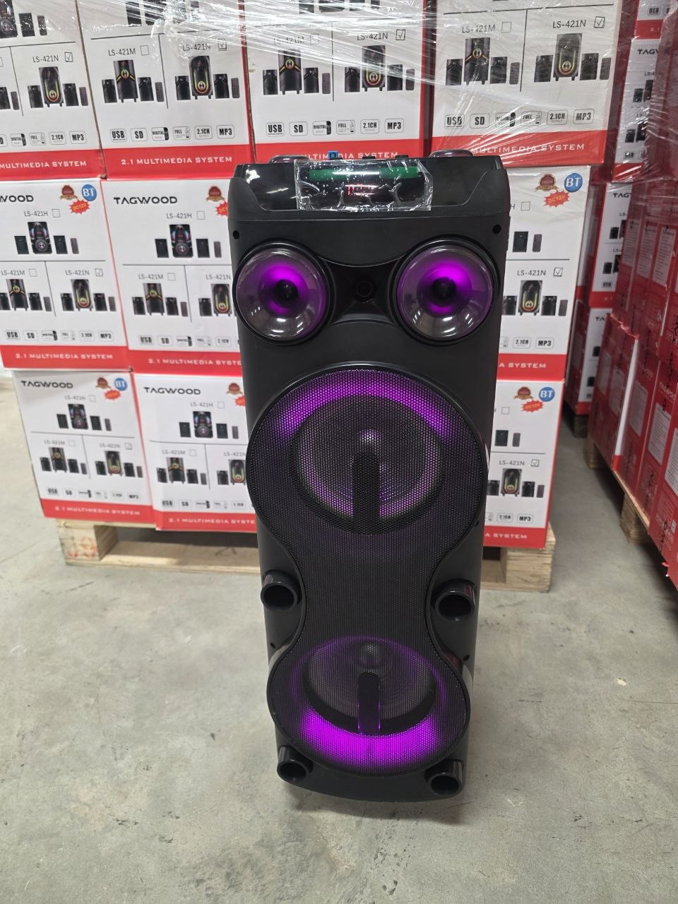 TAGWOOD LTS-8B Rechargeable Trolley Speaker with Dual 8-Inch Woofers, Bluetooth, USB/TF, Wireless Microphone & LED Lights
