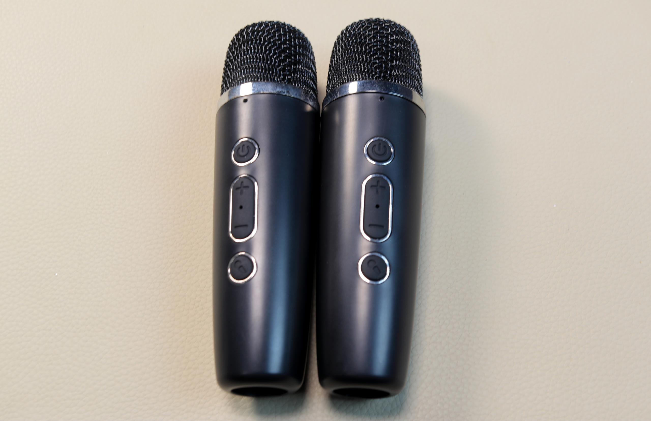WSTER WS-930 Portable Wireless Karaoke Speaker with 2 Microphones & RGB Party Lights
