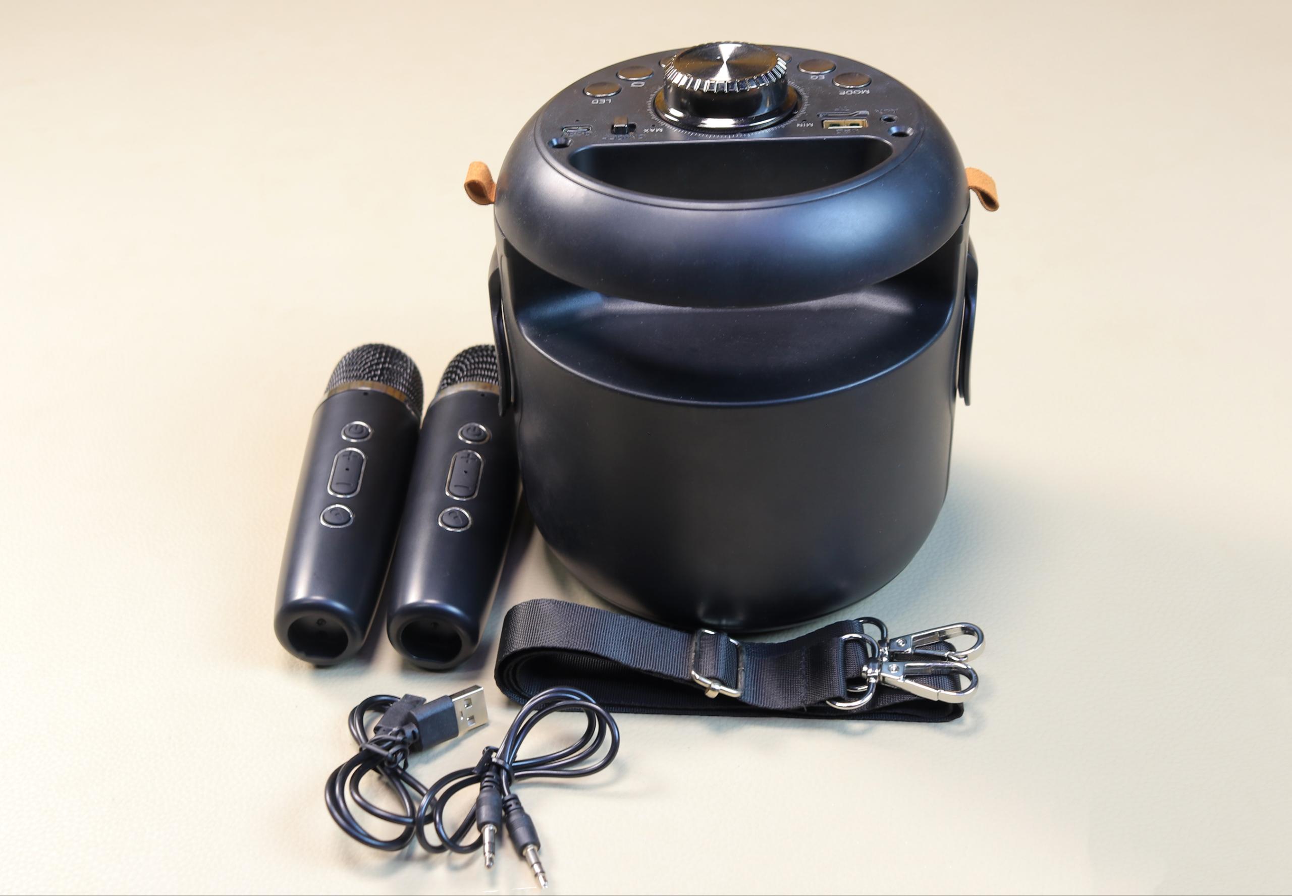 WSTER WS-930 Portable Wireless Karaoke Speaker with 2 Microphones & RGB Party Lights