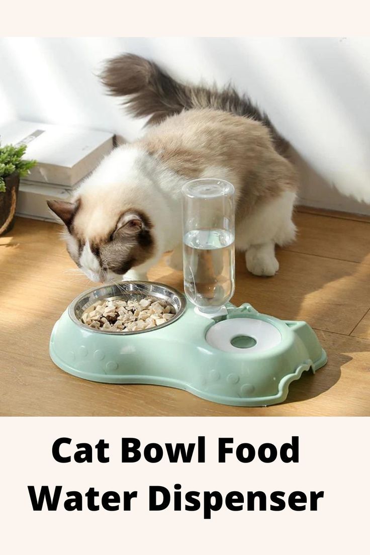 Automatic Single Pet Bowl with Water Dispenser – 2-in-1 Cat & Dog Feeder