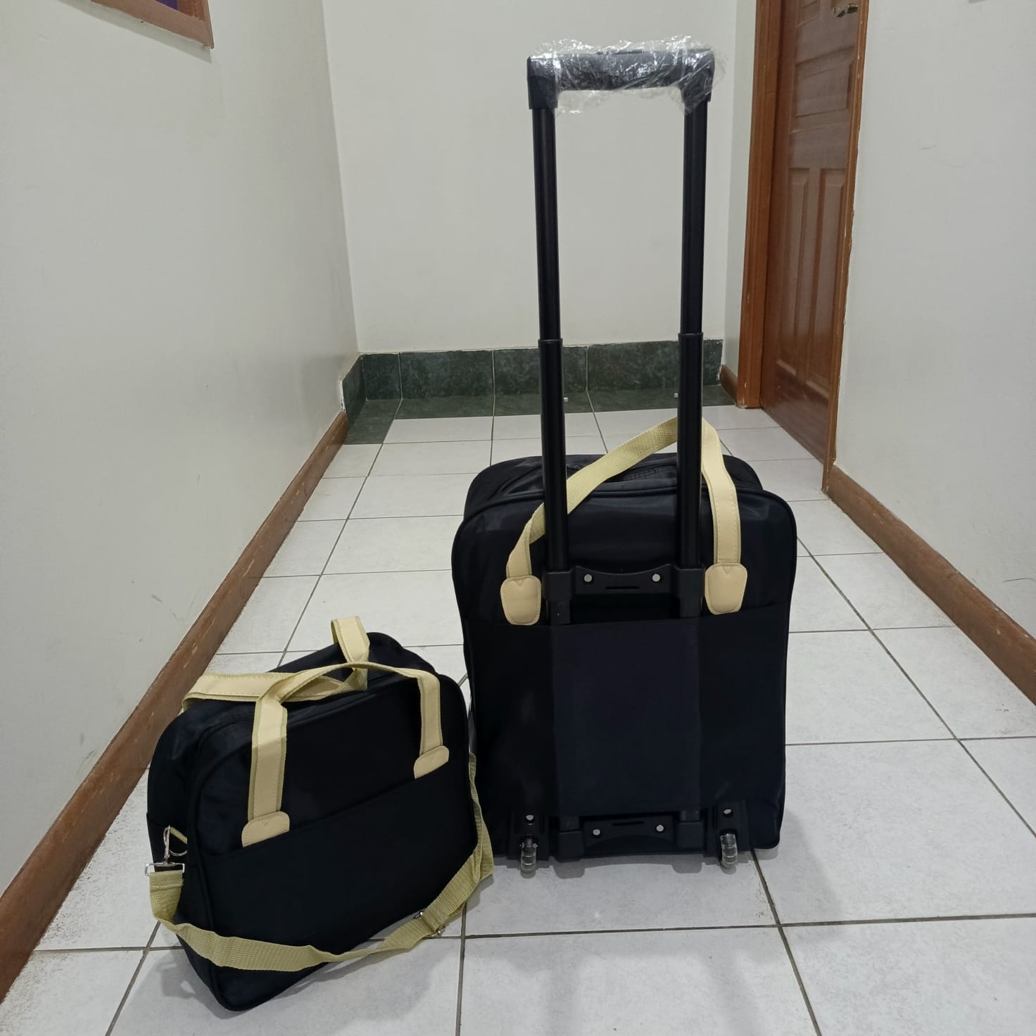 traveling trolley bag