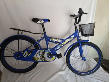 Lion King Size 20 Kids Bike Bicycle 8-12 Years