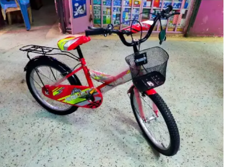 Lion King Size 20 Kids Bike Bicycle 8-12 Years