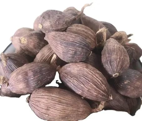 **Alligator Pepper: Sacred Seeds for Powerful Spiritual Cleansing and Protection**