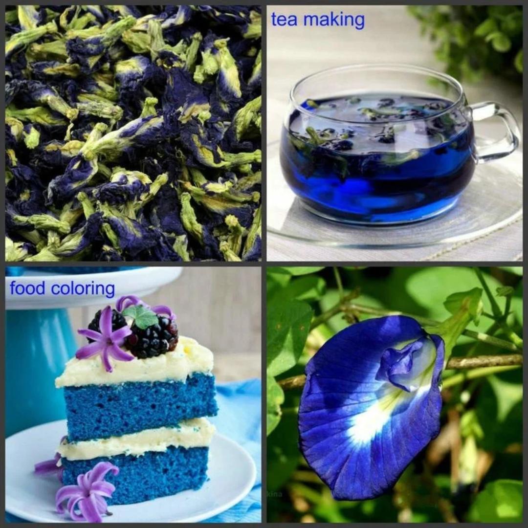 PREMIUM BUTTERFLY PEA FLOWER TEA – MAGIC BLUE DRINK, ANTI-AGING & HAIR GROWTH SUPPORT (30 TEA BAGS)