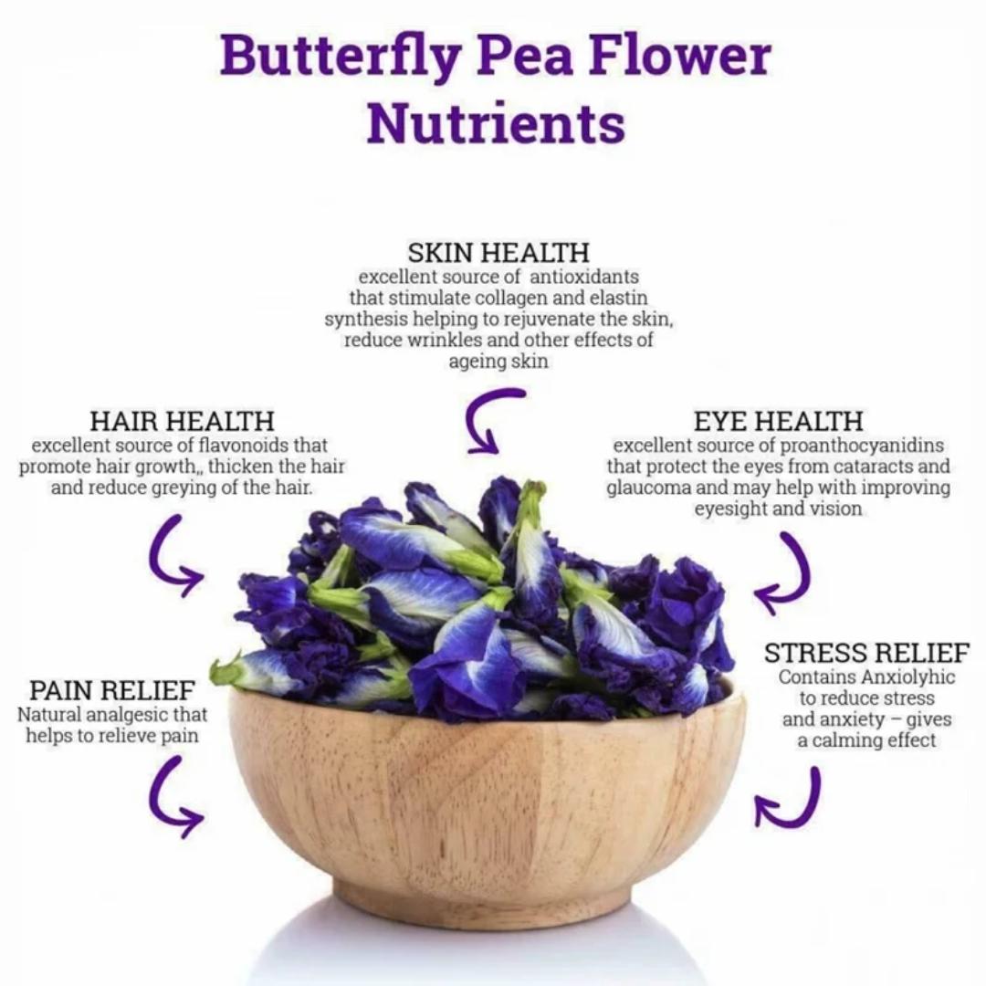 PREMIUM BUTTERFLY PEA FLOWER TEA – MAGIC BLUE DRINK, ANTI-AGING & HAIR GROWTH SUPPORT (30 TEA BAGS)