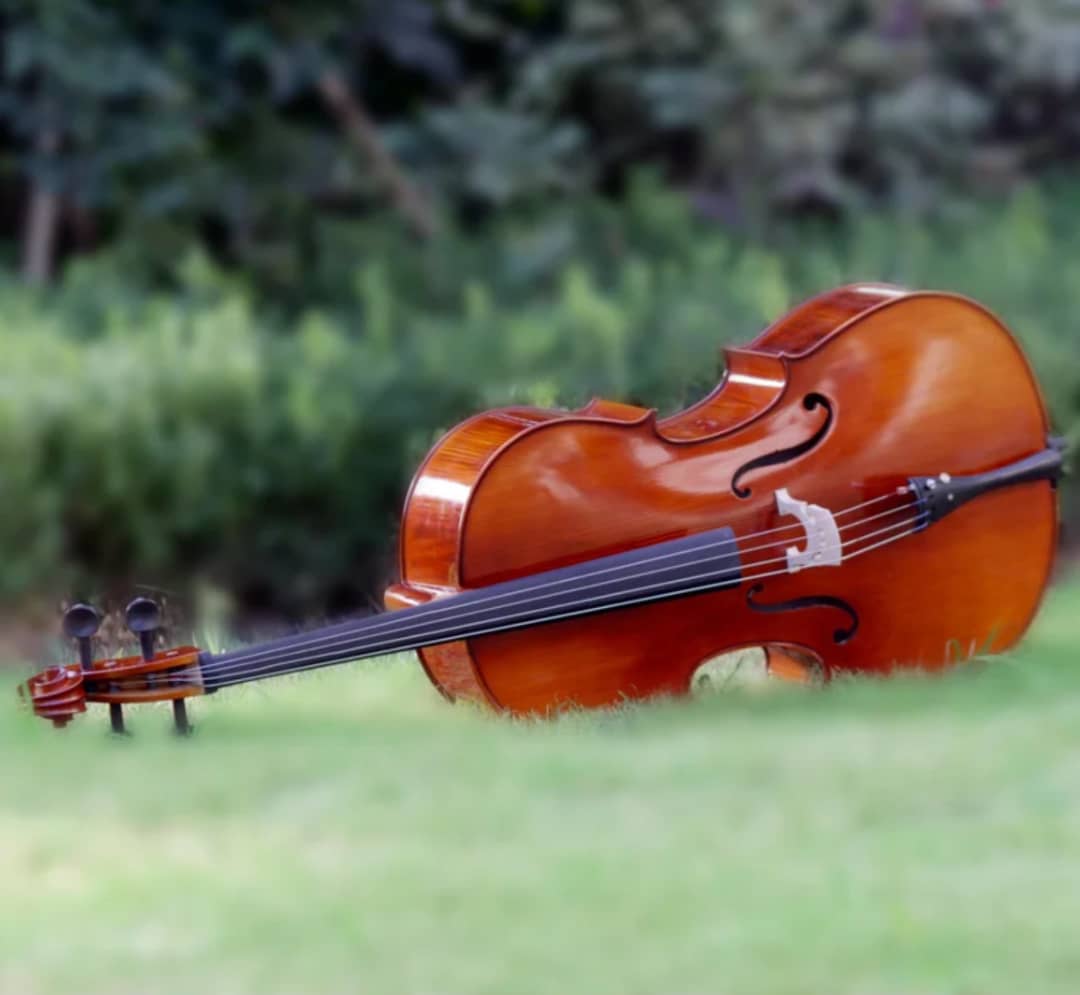 Full Size 4/4 Acoustic Cello