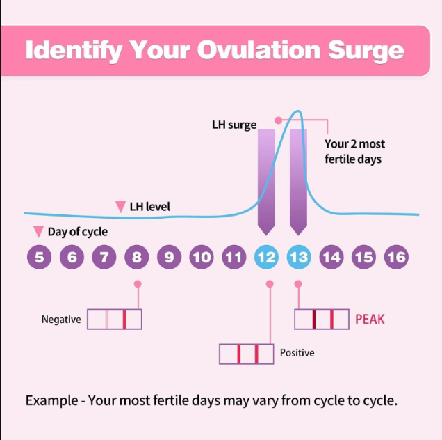 100/50/20/10Pcs Women LH Ovulation Test Strips Over 99% Accuracy Quick Response Fertility Ovulation Tests Strips Home Urine Measuring Kits