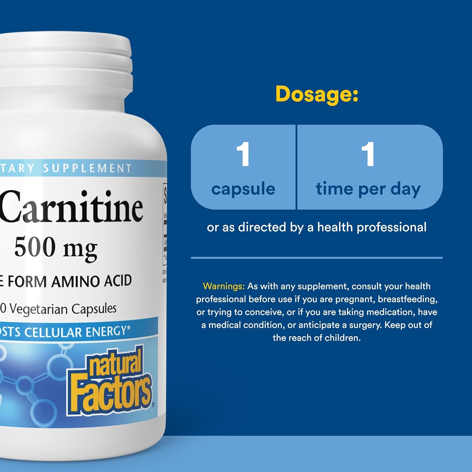 Natural Factors, L-Carnitine 500 mg, Energy Support, 60 Capsules (60 Servings)- Promotes a Healthy Memory, Concentration and Brain Function,
