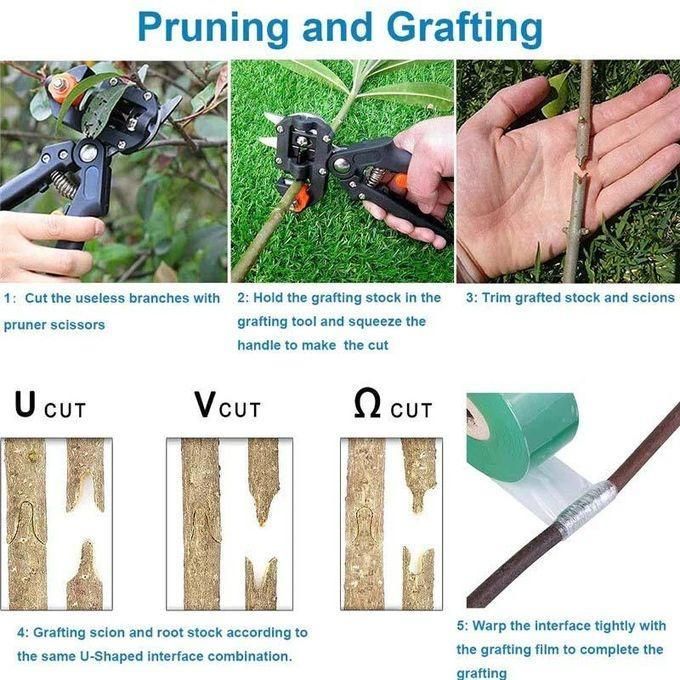 2 in 1 Garden Tree Grafting Tool Kit with 3 Replacement Blades, Gardening Pruning Tool Set,for Plant Branch Vine Fruit Tree Cutting, Snip Grafting Plant Cutting Tool & Trimming Prune Shears V-Graft Om