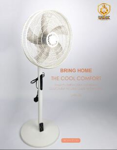 Euroken 16 Inch, 5 - Blades,  Floor Standing Fan with Remote Plus Extension