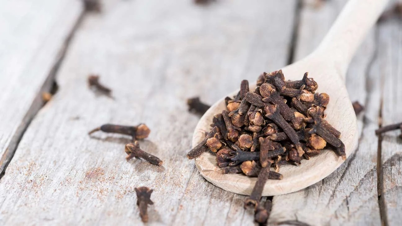 Clove (Syzygium aromaticum) is one of the most valuable spices that has been used for centuries as food preservative and for many medicinal purposes help improve insulin sensitivity and regulate blood