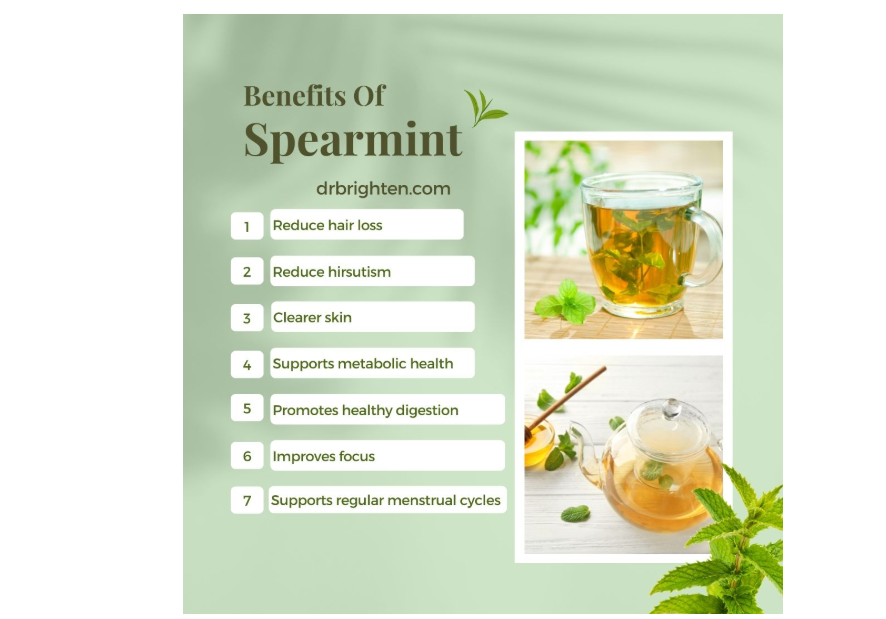 Spearmint tea is widely celebrated for its sweet,minty flavor and its distinct health benefiparticularly regarding hormone balance, digestion and also helps manage PCOS symptoms like facial hair etc .