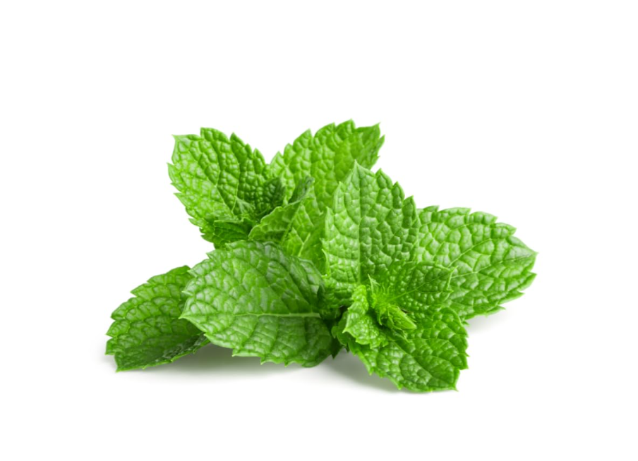 Spearmint tea is widely celebrated for its sweet,minty flavor and its distinct health benefiparticularly regarding hormone balance, digestion and also helps manage PCOS symptoms like facial hair etc .