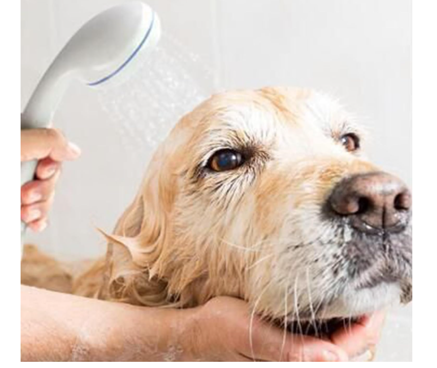 Portable Camping Shower, USB Rechargeable Outdoor Shower Pump, Electric Camp Shower, On-The-Go Bathing Solution for Pets Beach Garden