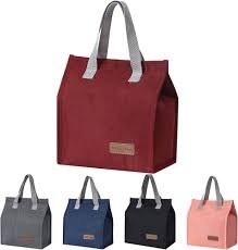 Reusable Insulated Leakproof Lunch Box Tote Bag, Cool Bags for Kids Girls Adults, Thermal Cooler Bag for Work School Picnic Travel