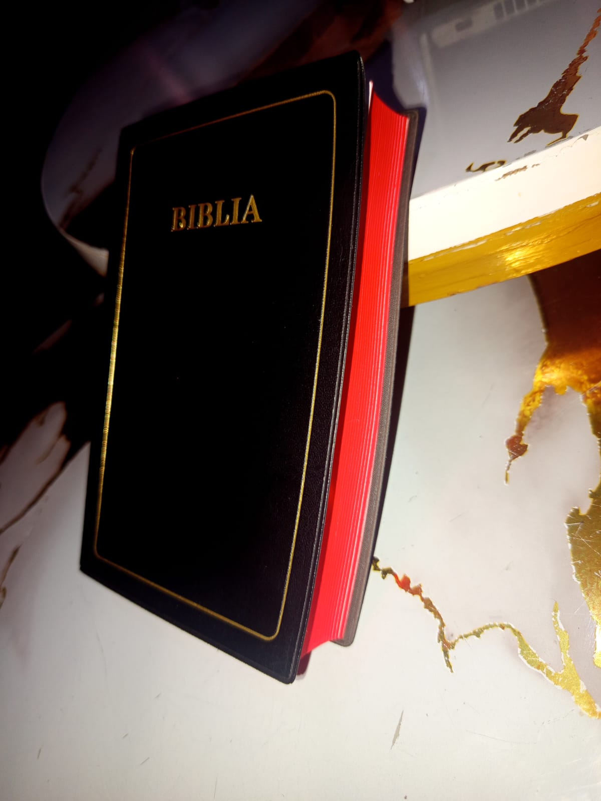BIBLIA YA KISWAHILI -MEDIUM SIZE -Portable because of it`s medium size,easy to understand(yenye kiswahili sanifu).