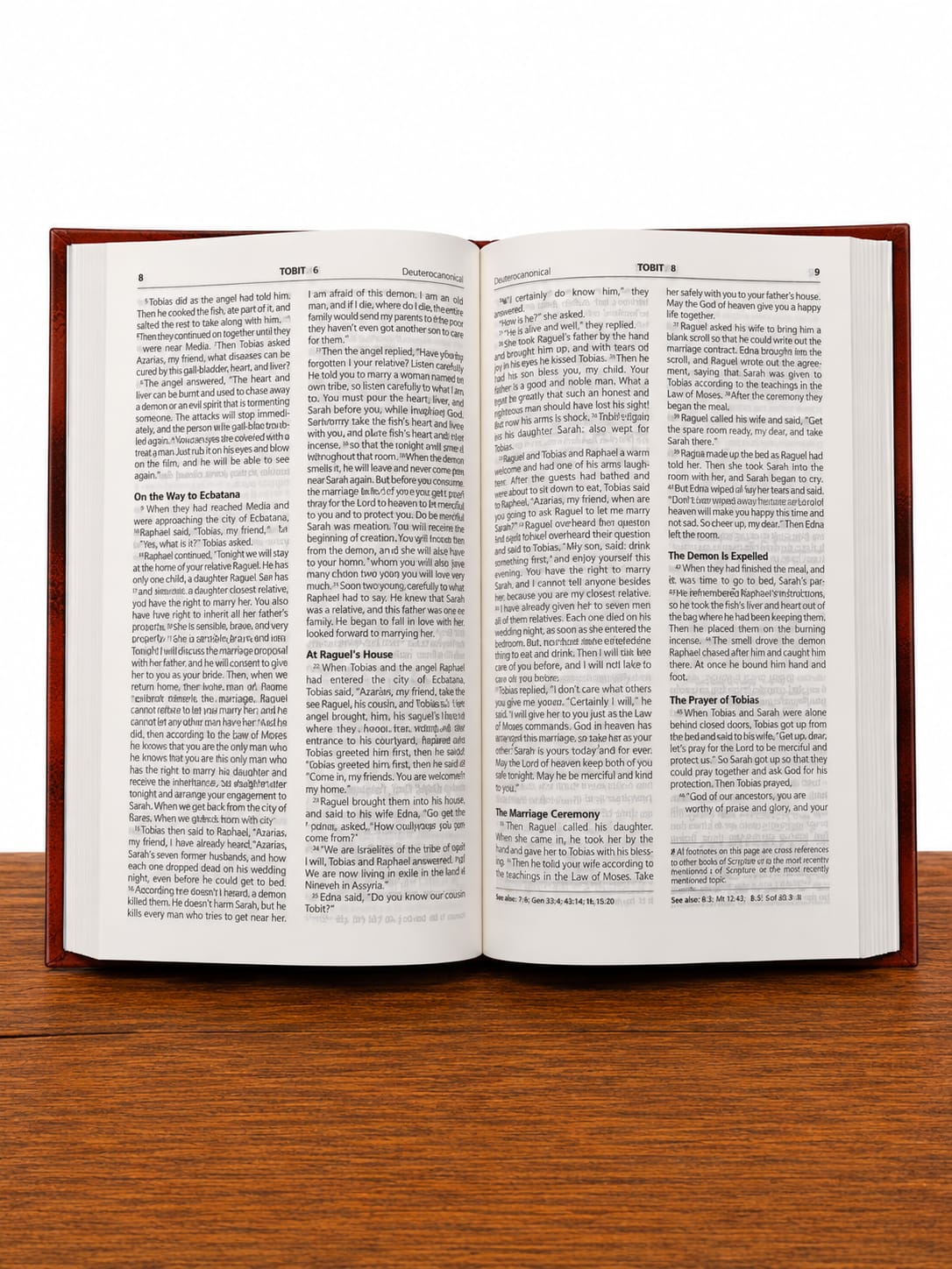 The Good News Bible with Deuterocanonical Books offers an easy-to-read translation of the Holy Scriptures, including the Deuterocanonical Books. Written in clear, accessible language.