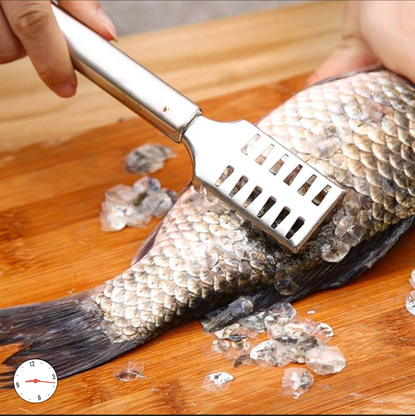 Fish scale remover at affordable price and of high quality.