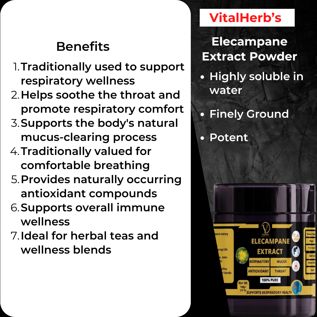 Elecampane Extract Powder -support respiratory wellness
