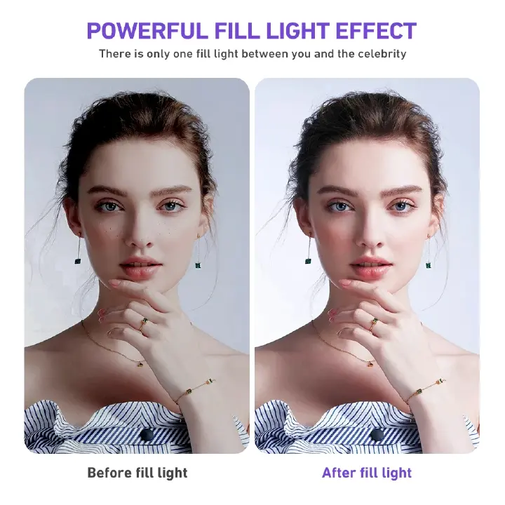 12 Inch LED Ring Light with 2.1M Tripod Stand, Dimmable Beauty Ring Light with Microphone and Remote for Selfie, Live Streaming, Makeup, YouTube, TikTok Video and Photography