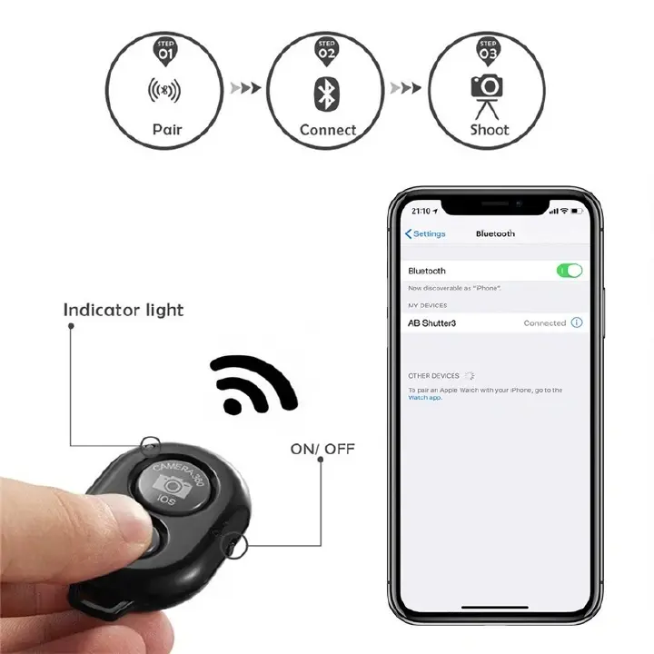 12 Inch LED Ring Light with 2.1M Tripod Stand, Dimmable Beauty Ring Light with Microphone and Remote for Selfie, Live Streaming, Makeup, YouTube, TikTok Video and Photography