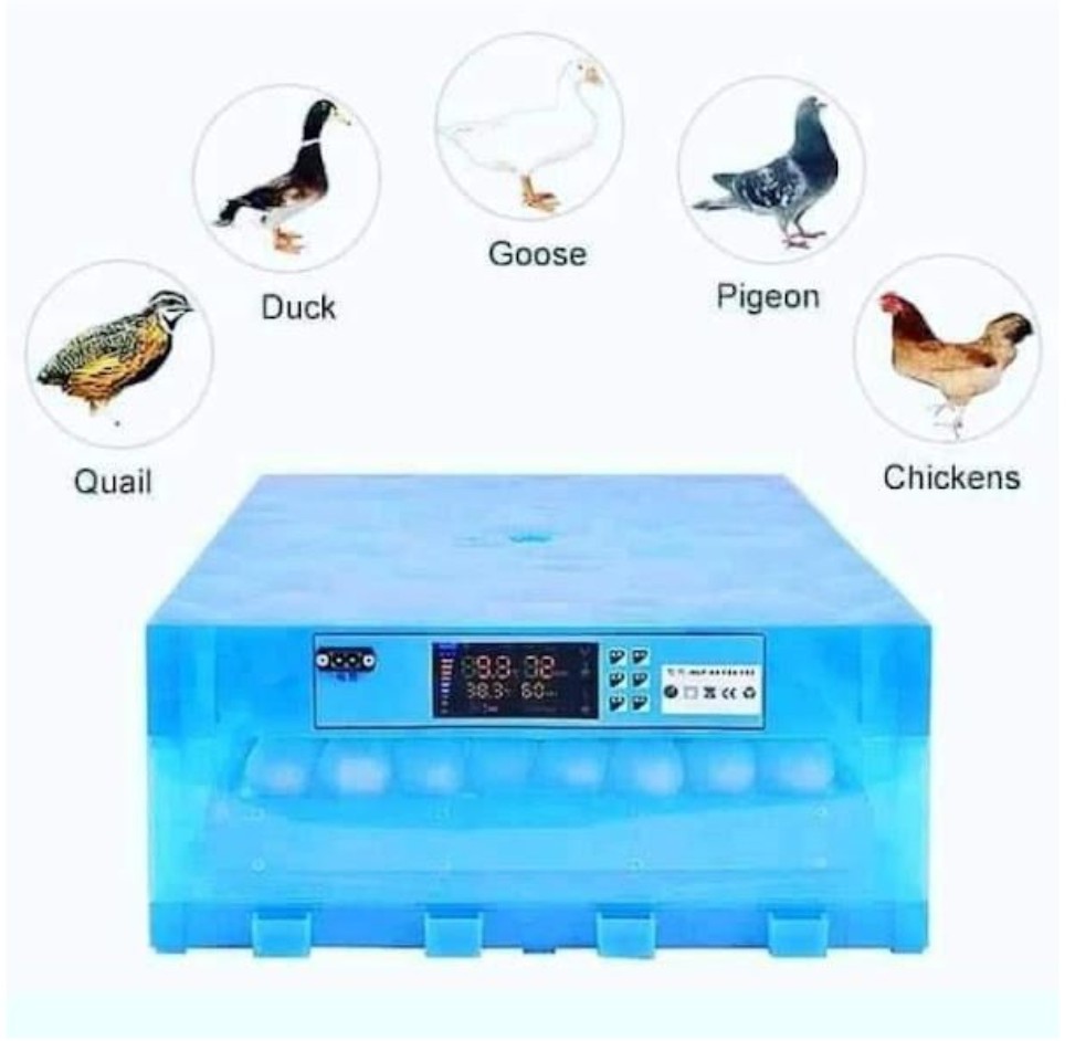 64-Eggs Automatic Egg Incubator -For Hatching Chicken Duck Bird Quail Poultry