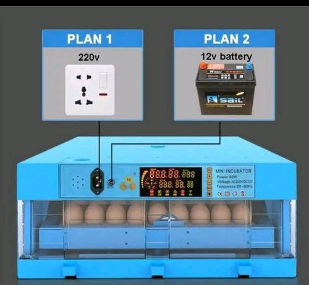 64-Eggs Automatic Egg Incubator -For Hatching Chicken Duck Bird Quail Poultry